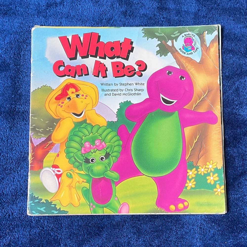 Colorful Dinosaur Adventure Book for Kids